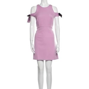 Milly Crew Neck Mini Dress